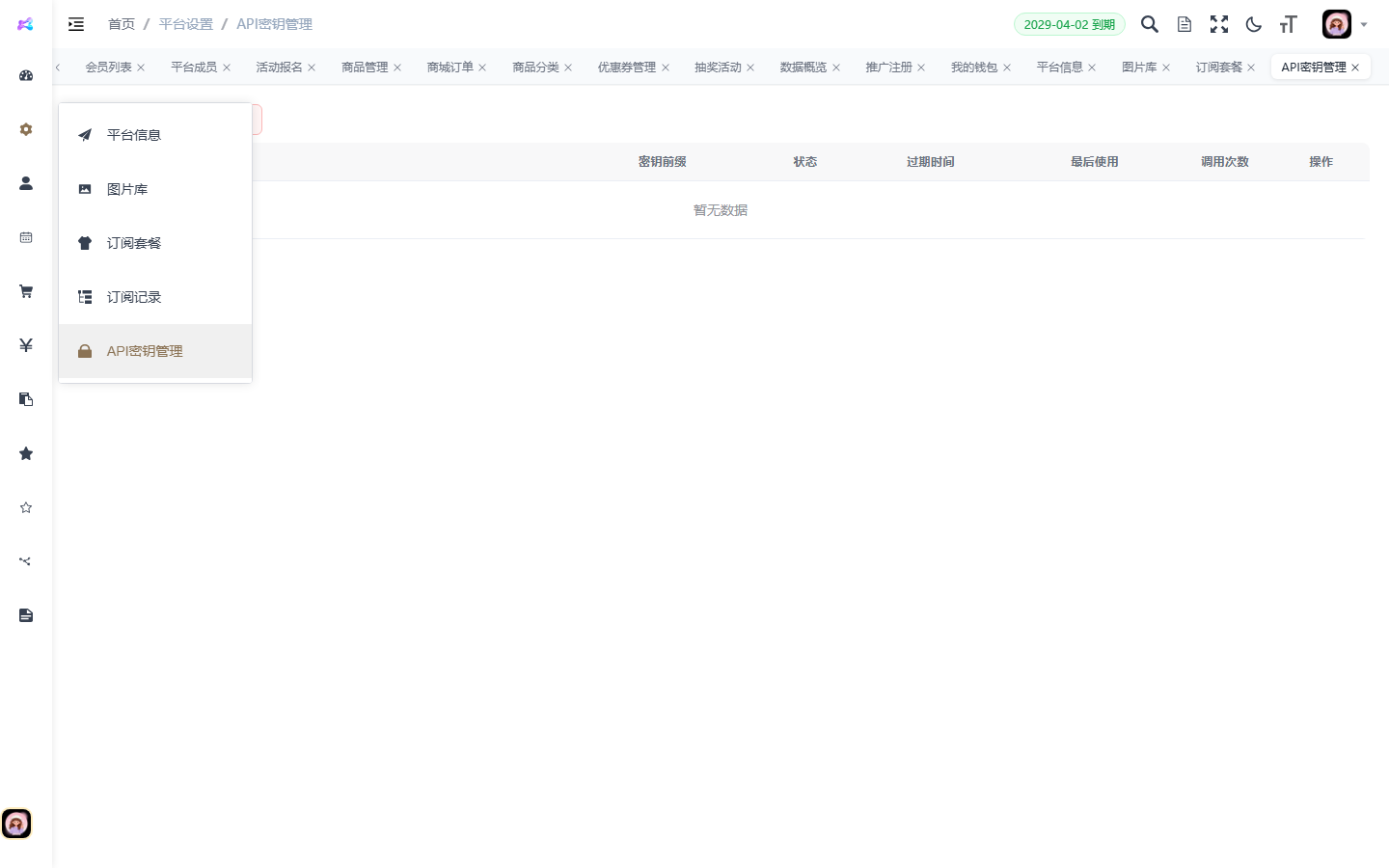 API 密钥管理